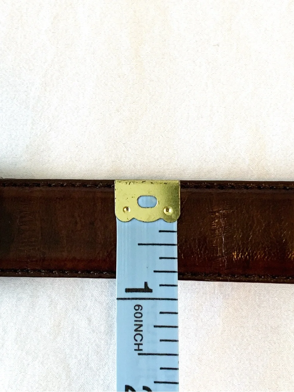 Vintage genuine eel